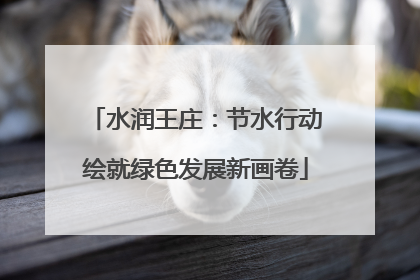 水润王庄：节水行动绘就绿色发展新画卷