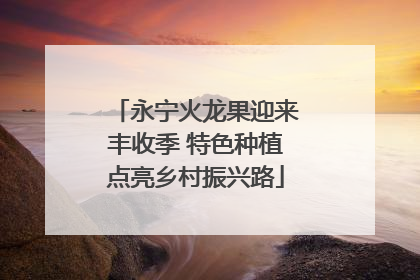 永宁火龙果迎来丰收季 特色种植点亮乡村振兴路