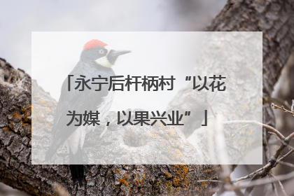 永宁后杆柄村“以花为媒，以果兴业”