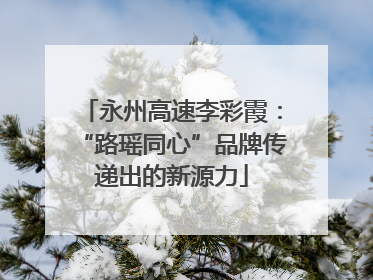 永州高速李彩霞：“路瑶同心”品牌传递出的新源力