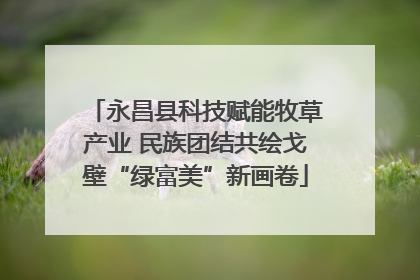 永昌县科技赋能牧草产业 民族团结共绘戈壁“绿富美”新画卷