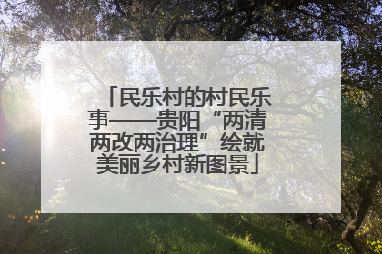 民乐村的村民乐事——贵阳“两清两改两治理”绘就美丽乡村新图景