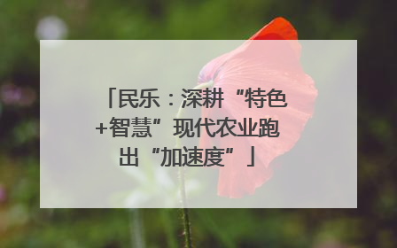 民乐：深耕“特色+智慧”现代农业跑出“加速度”