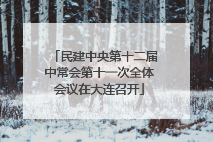 民建中央第十二届中常会第十一次全体会议在大连召开