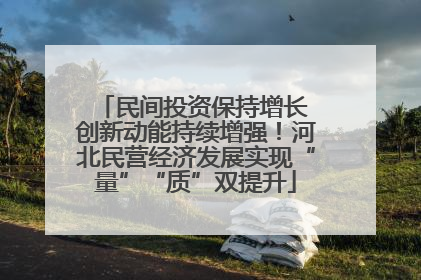 民间投资保持增长 创新动能持续增强！河北民营经济发展实现“量”“质”双提升