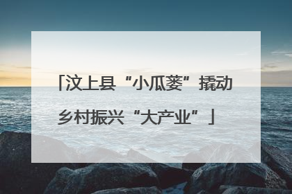 汶上县“小瓜蒌”撬动乡村振兴“大产业”