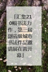 汇集210幅书法力作，第三届副省级城市书法作品邀请展在蓉开幕