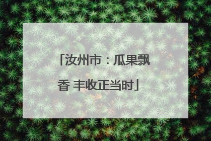 汝州市：瓜果飘香 丰收正当时