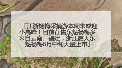 江浙杨梅采摘游本周末或迎小高峰！目前在售东魁杨梅多来自云南、福建，浙江露天东魁杨梅6月中旬大量上市