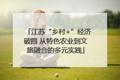 江苏“乡村+”经济破圈 从特色农业到文旅融合的多元实践