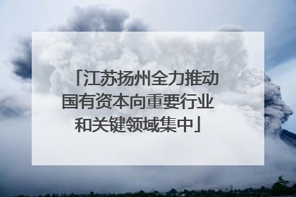 江苏扬州全力推动国有资本向重要行业和关键领域集中