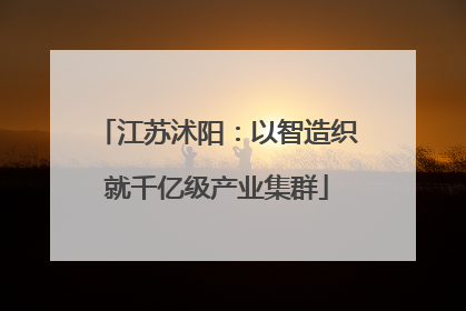 江苏沭阳：以智造织就千亿级产业集群