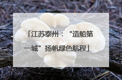 江苏泰州：“造船第一城”扬帆绿色航程