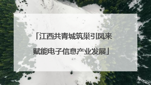 江西共青城筑巢引凤来 赋能电子信息产业发展