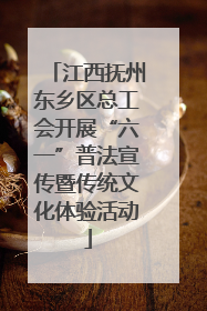 江西抚州东乡区总工会开展“六一”普法宣传暨传统文化体验活动