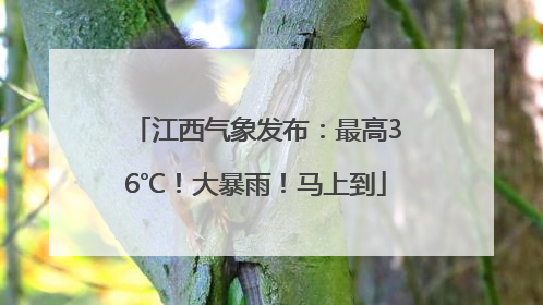 江西气象发布：最高36℃！大暴雨！马上到