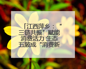 江西萍乡：“三链共振”赋能消费活力 生态五陂成“消费新枢纽”