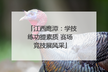 江西鹰潭：学技练功提素质 赛场竞技展风采