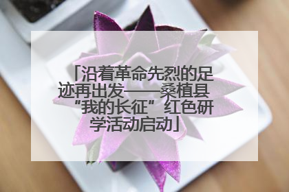 沿着革命先烈的足迹再出发——桑植县“我的长征”红色研学活动启动