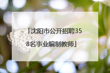 沈阳市公开招聘358名事业编制教师