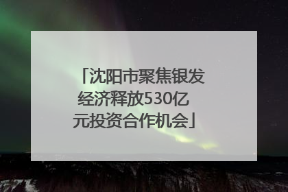 沈阳市聚焦银发经济释放530亿元投资合作机会