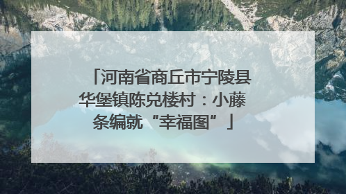 河南省商丘市宁陵县华堡镇陈兑楼村：小藤条编就“幸福图”