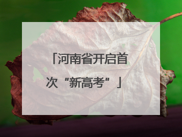 河南省开启首次“新高考”