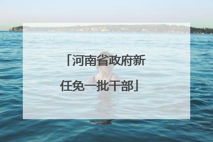 河南省政府新任免一批干部