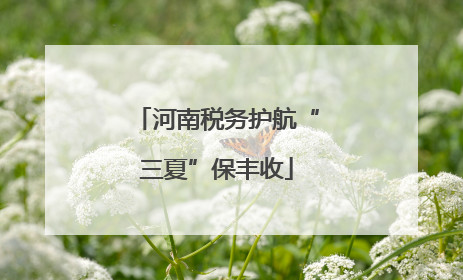 河南税务护航“三夏”保丰收
