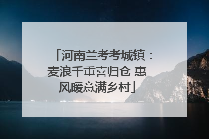 河南兰考考城镇：麦浪千重喜归仓 惠风暖意满乡村