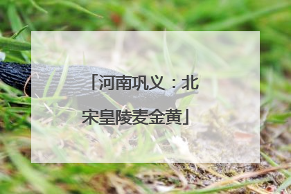 河南巩义：北宋皇陵麦金黄
