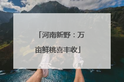 河南新野：万亩鲜桃喜丰收