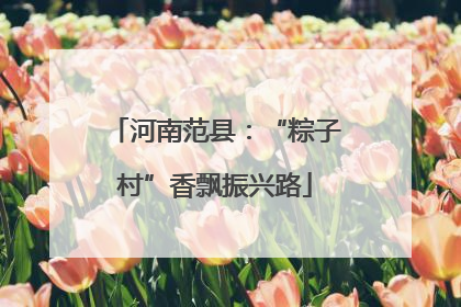 河南范县：“粽子村”香飘振兴路
