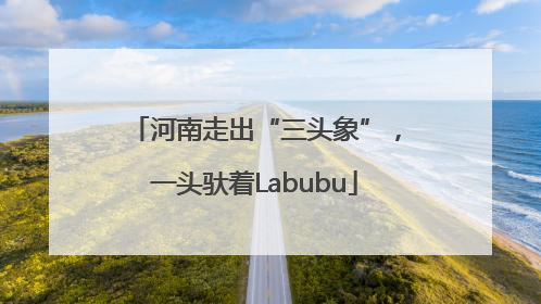 河南走出“三头象”，一头驮着Labubu