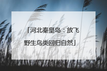河北秦皇岛：放飞野生鸟类回归自然