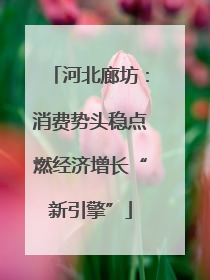 河北廊坊：消费势头稳点燃经济增长“新引擎”