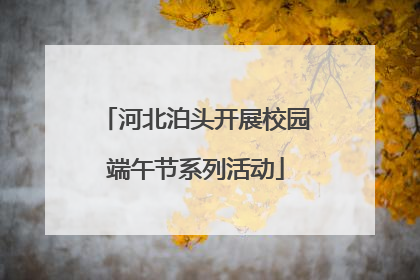 河北泊头开展校园端午节系列活动