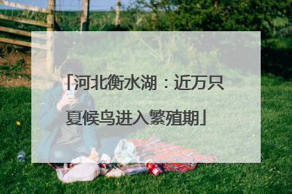 河北衡水湖：近万只夏候鸟进入繁殖期