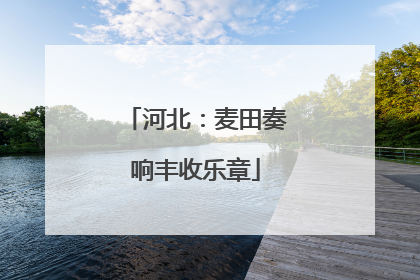 河北：麦田奏响丰收乐章