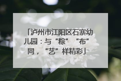 泸州市江阳区石寨幼儿园：与“粽”“布”同，“艺”样精彩