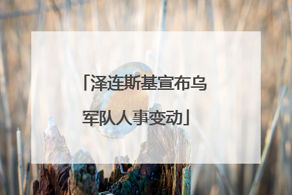 泽连斯基宣布乌军队人事变动