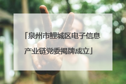 泉州市鲤城区电子信息产业链党委揭牌成立