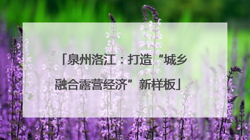 泉州洛江：打造“城乡融合露营经济”新样板