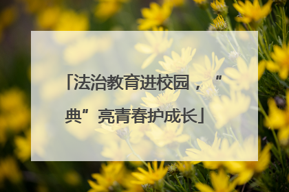法治教育进校园，“典”亮青春护成长