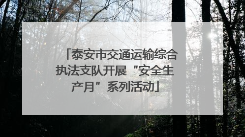 泰安市交通运输综合执法支队开展“安全生产月”系列活动