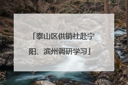 泰山区供销社赴宁阳、滨州调研学习