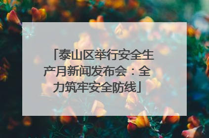泰山区举行安全生产月新闻发布会：全力筑牢安全防线