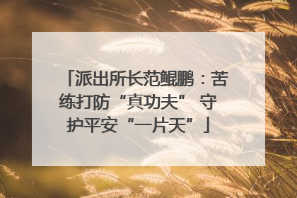 派出所长范鲲鹏：苦练打防“真功夫” 守护平安“一片天”