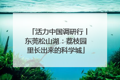 活力中国调研行丨东莞松山湖：荔枝园里长出来的科学城