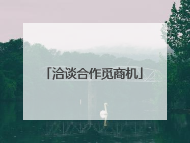 洽谈合作觅商机